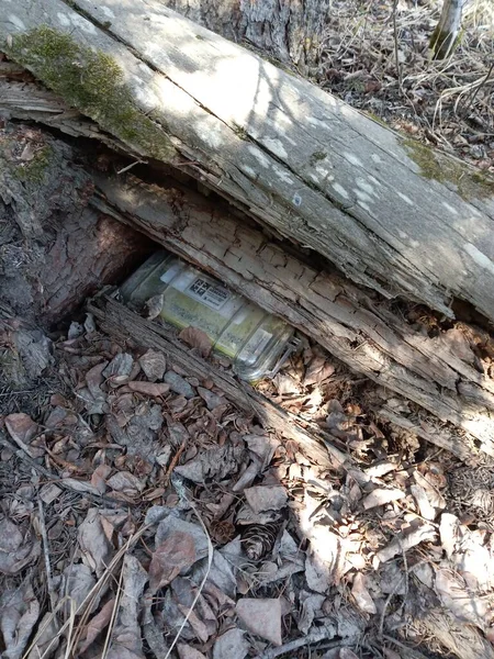 Geocaching around the world - World's Largest Treasure Hunt.