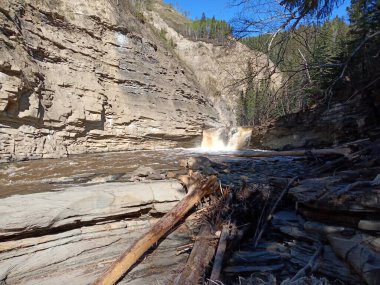 Morris Creek in Northern British Columbia. Near Hudsons Hope.