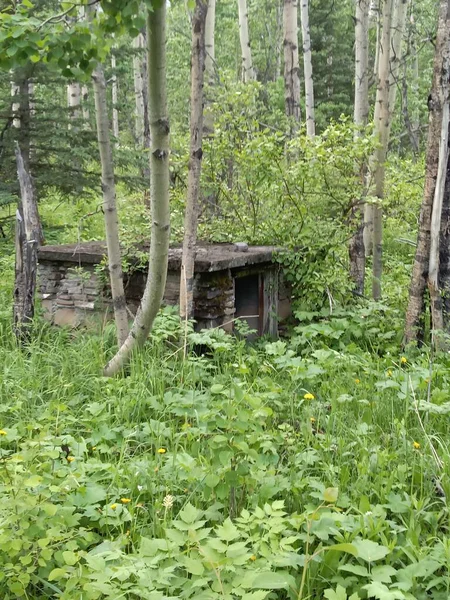 Brick House Found Wilderness British Columbia — Stockfoto