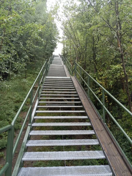 Stairway Whitehorse Yukon Part Local Walking Trail — Stok fotoğraf