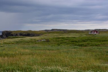 Bonavista Point, St Johns,  Newfoundland, Canada