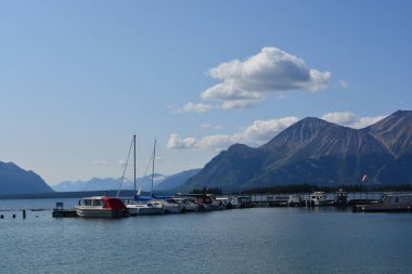old steam paddle wheeler and freight hauler