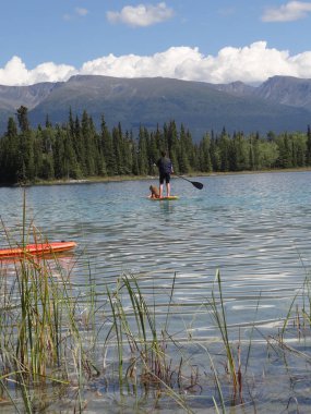 young lady on paddle board with a dog