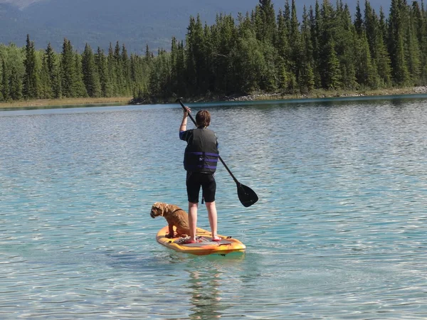 Young Lady Paddle Board Dog Royalty Free Stock Fotografie