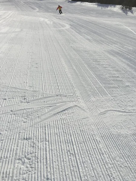 Skiing Jasper Park Marmot Basin — Fotografia de Stock