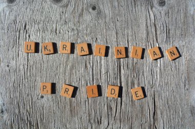 Motivational scrabble word art on old wood backing