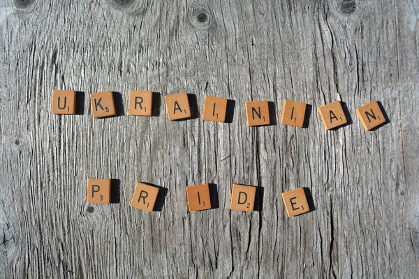 Motivational scrabble word art on old wood backing