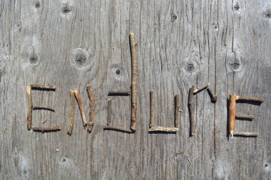Motivational twig word art on old wood backing