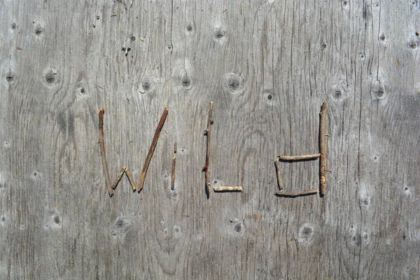Motivational Twig Word Art Old Wood Backing — Zdjęcie stockowe