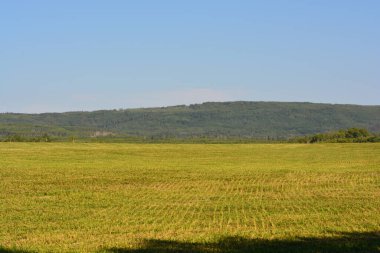 hay field where the hay has already been cut and collected, beautiful back drop