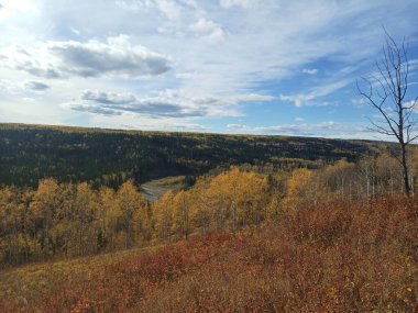 beautiful autumn scene with hills and fall colors northern bc