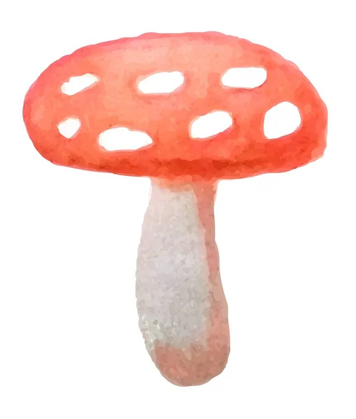 Ilustração Aquarela Vetorial Amanita Cogumelos Ilustração Botânica Desenhada Mão Tipografia —  Vetores de Stock