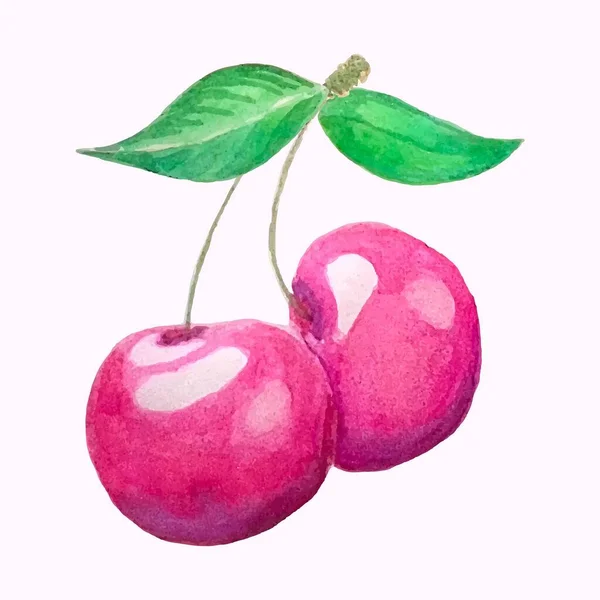 Röd Frukt Körsbär Akvarell Vit Bakgrund Blommig Handritning Vacker Frukt — Stock vektor