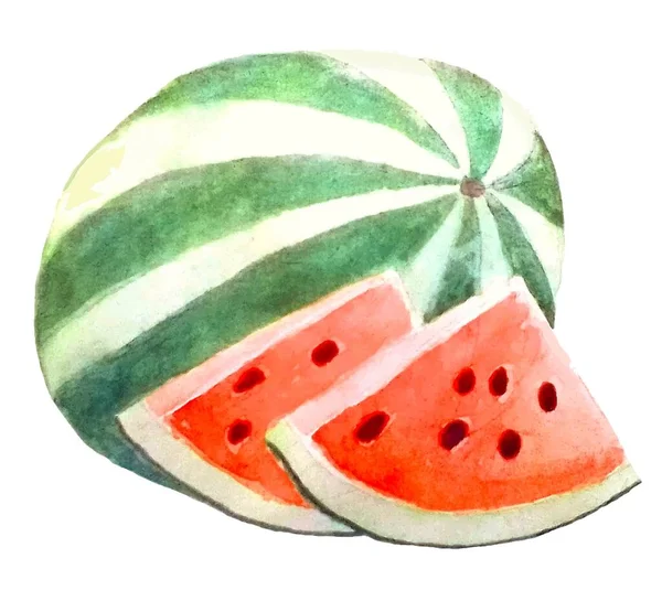 Frucht Ist Aquarell Wassermelone Mit Scheiben Auf Weißem Hintergrund Vector — Stockvektor