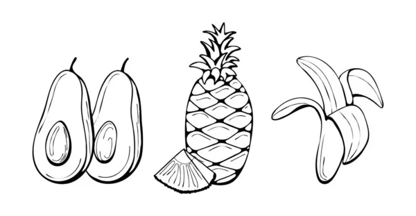 Ručně Kreslené Ovoce Botanická Kresba Banánu Tropického Ovoce Ananasu Avokáda — Stockový vektor