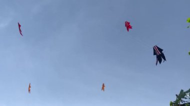 Kites fly and dance in the blue sky.
