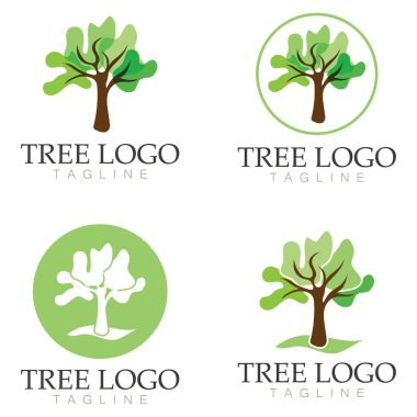 Ağaç logosu vektör illüstrasyon tasarımı. Ağaç logosundan bir ağaç şablonunun vektör silueti ve yaşam tasarımı illüstrasyonunun kök ağacı