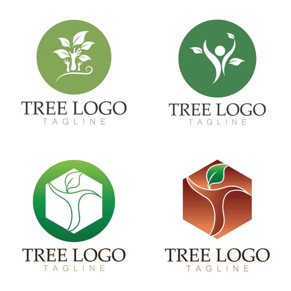 Logo Drzewa Ikona Wektor Ilustracja Projektowania Wektorowa Sylwetka Szablonów Drzewa — Wektor stockowy