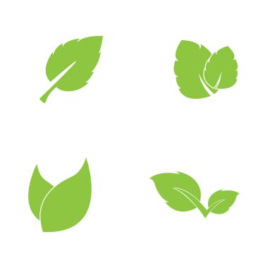 Leaf leaves logo green vector  image