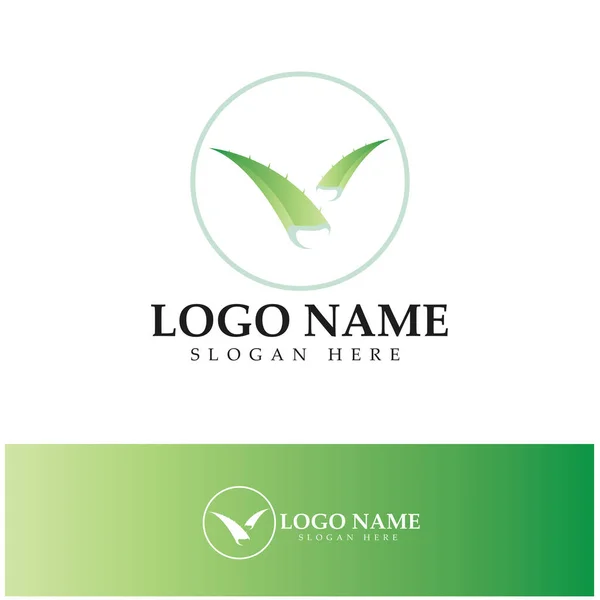 Aloe Vera Logo Design Icon Vector — Image vectorielle