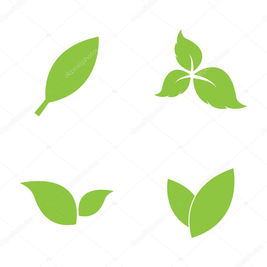 Leaf leaves logo green vector  image