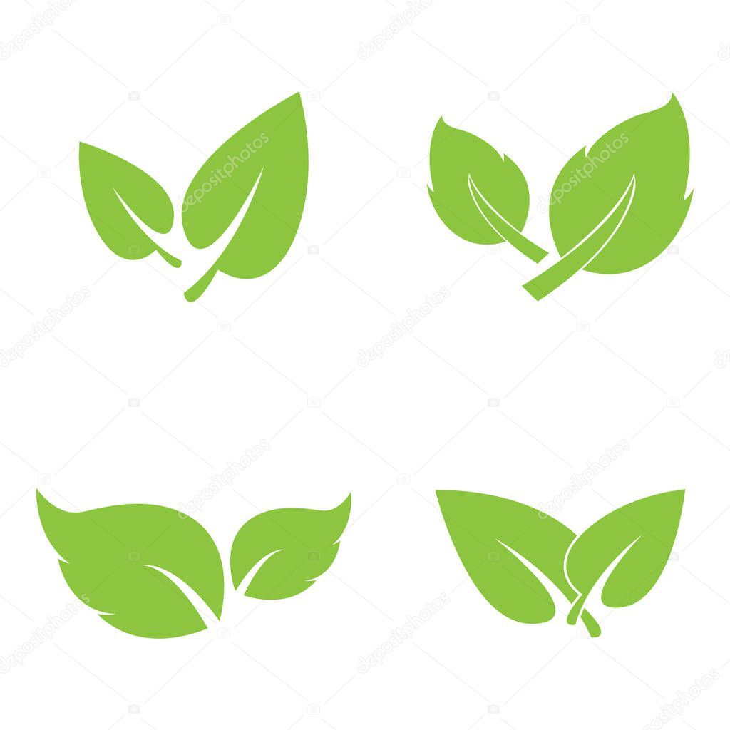Leaf leaves logo green vector  image