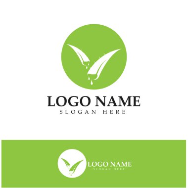 aloe vera logo design icon vector