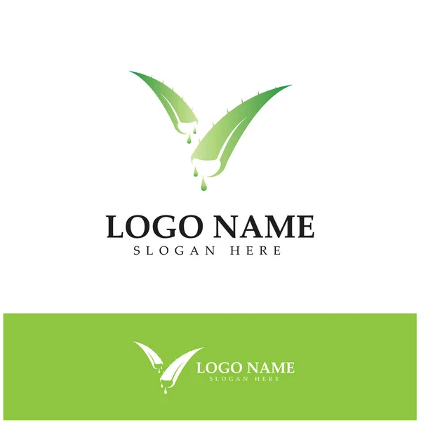 Aloe Vera Logo Design Icon Vector — Archivo Imágenes Vectoriales