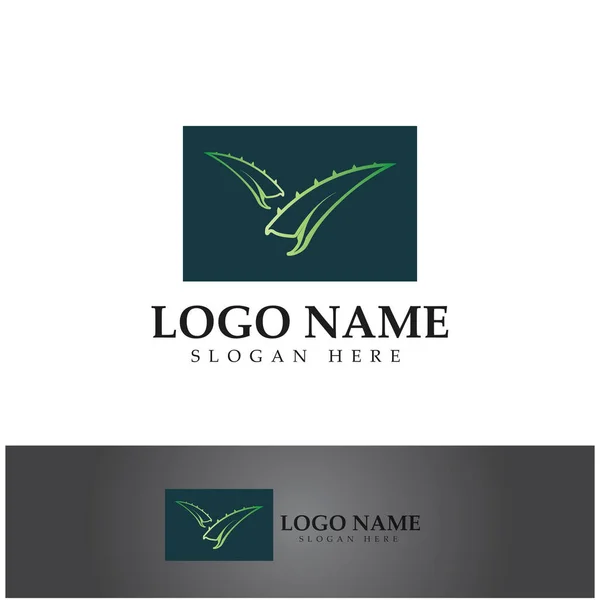 Aloe Vera Logo Design Icon Vector — Vetor de Stock