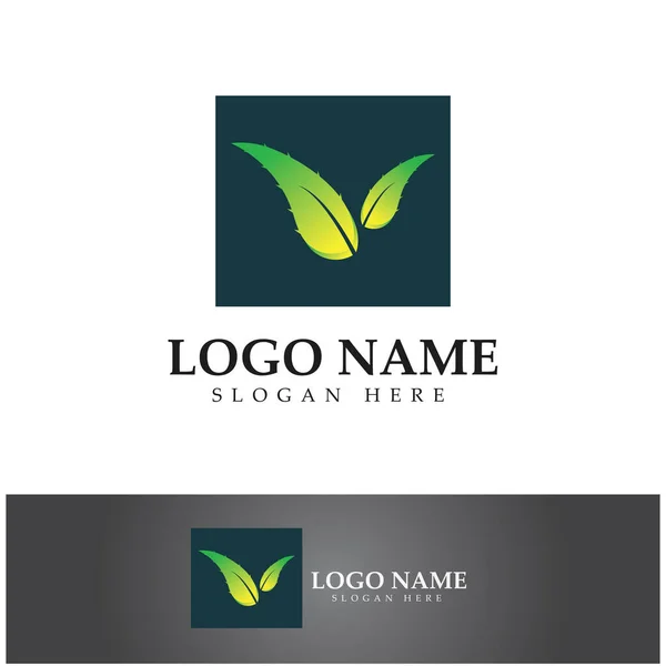 Aloe Vera Logo Design Icon Vector — Stock vektor