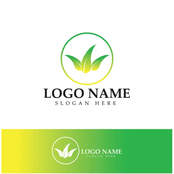 Sun Logo Design Illustration Design Vector Icon — Archivo Imágenes Vectoriales