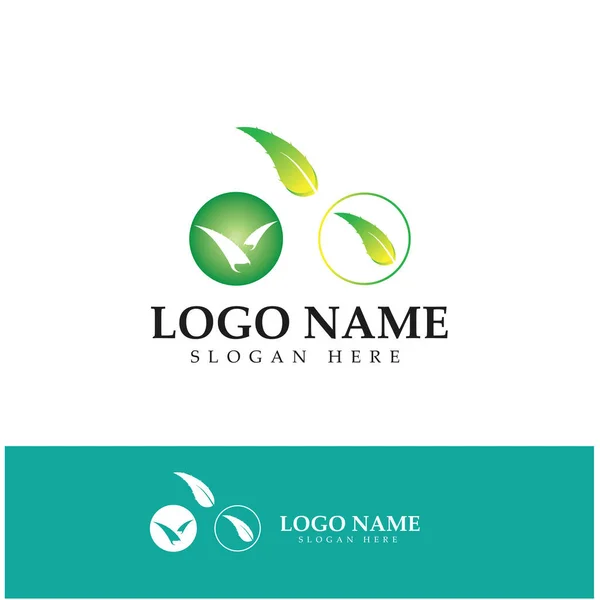 Aloe Vera Logo Design Icon Vector — Stockový vektor