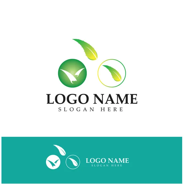 Aloe Vera Logo Design Icon Vector — Archivo Imágenes Vectoriales