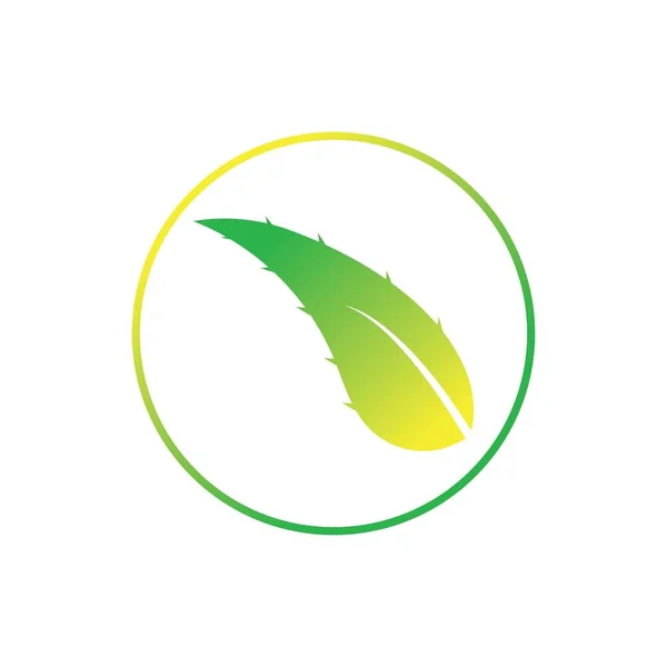 Aloe Vera Logo Design Icon Vector — Archivo Imágenes Vectoriales