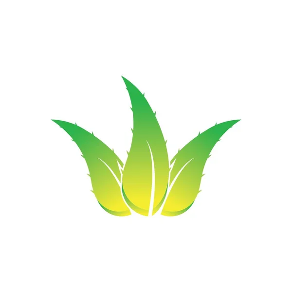 Aloe Vera Logo Design Icon Vector — 스톡 벡터