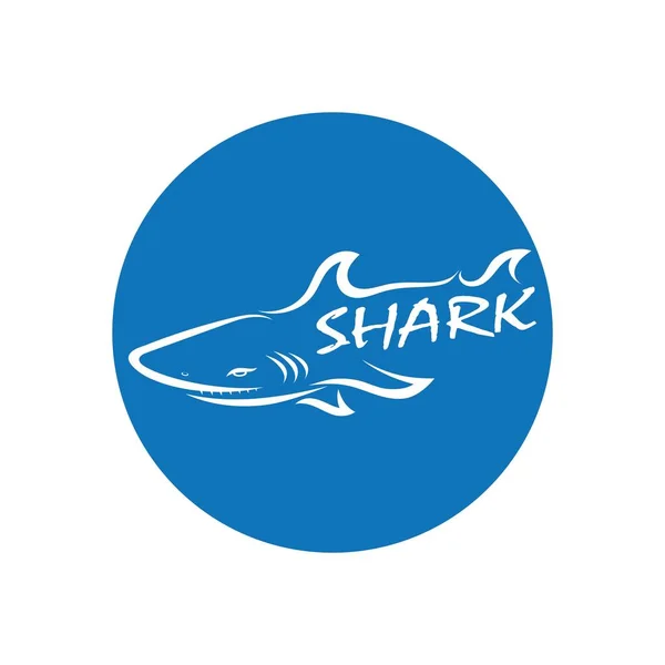 Tubarão Ilustração Logotipo Modelo Vector — Vetor de Stock