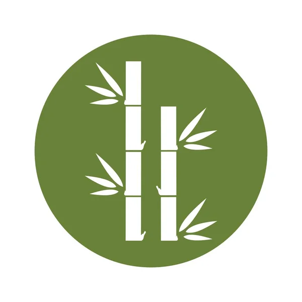 Bamboe Logo Sjabloon Vector Pictogram Illustratie Ontwerp — Stockvector