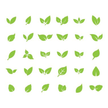 Yaprak logosu vektör tasarımı