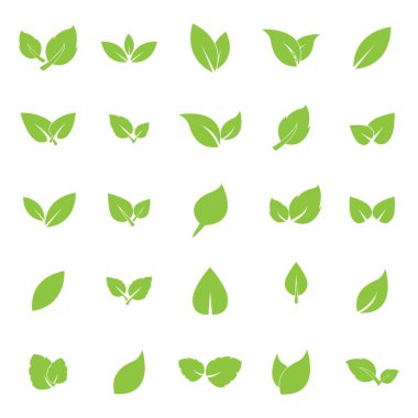 Yaprak logosu vektör tasarımı