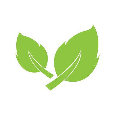 Yaprak logosu vektör tasarımı