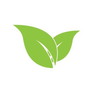 Yaprak logosu vektör tasarımı