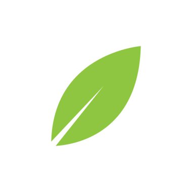 Yaprak logosu vektör tasarımı