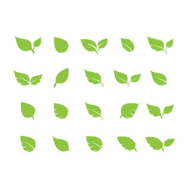 Yaprak logosu vektör tasarımı