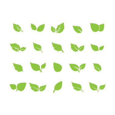 Yaprak logosu vektör tasarımı