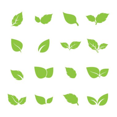 Yaprak logosu vektör tasarımı