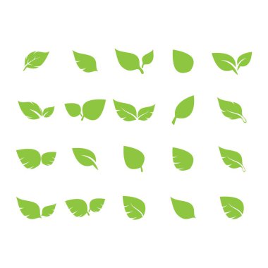 Yaprak logosu vektör tasarımı