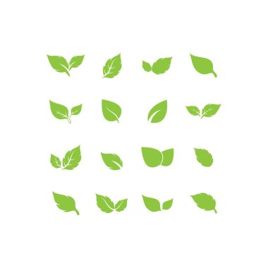 Yaprak logosu vektör tasarımı