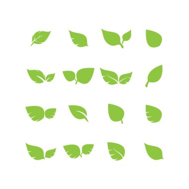 Yaprak logosu vektör tasarımı
