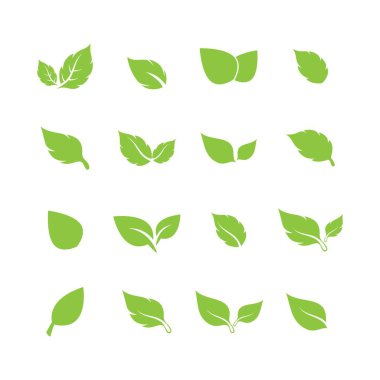 Yaprak logosu vektör tasarımı