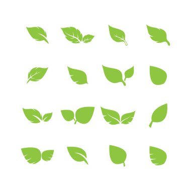 Yaprak logosu vektör tasarımı
